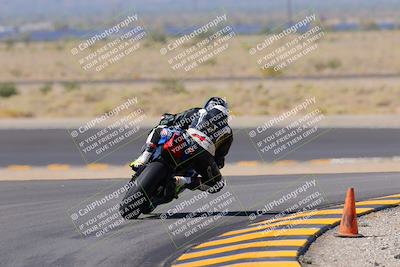 media/Oct-08-2022-SoCal Trackdays (Sat) [[1fc3beec89]]/Turn 11 Backside (1145am)/